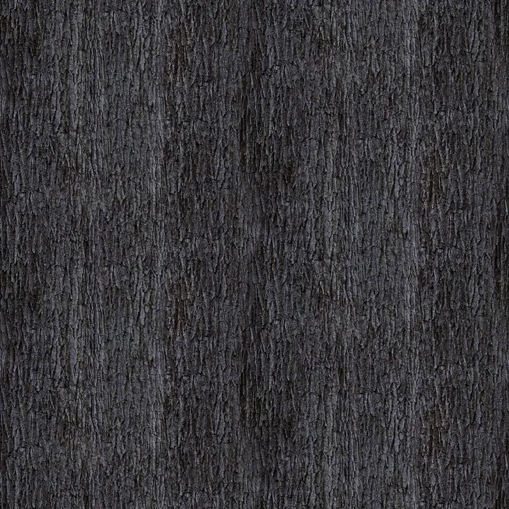 kklogo20260929185447901247